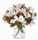 Winter Elegance Bouquet Davis Floral Clayton Indiana from Davis Floral